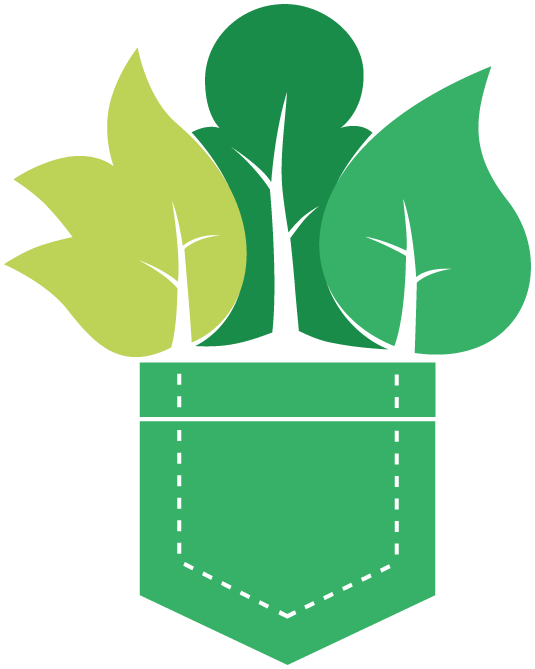 1.PF_Transparent_Background-11